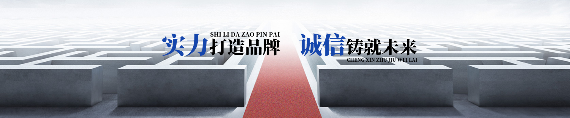 武漢大跨距橋架